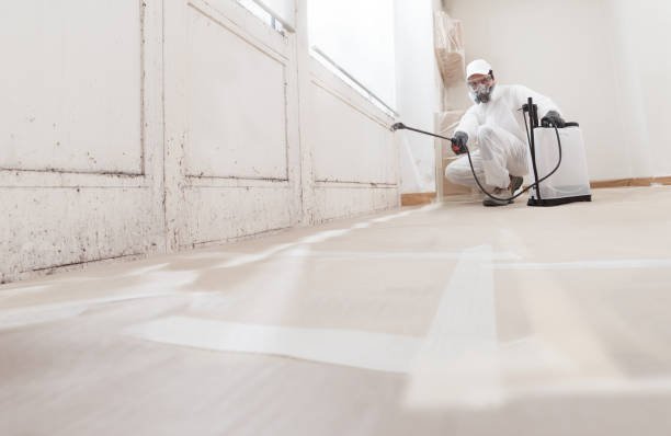 24/7 Emergency Commercial Mold Remediation experts in Washington, IL
