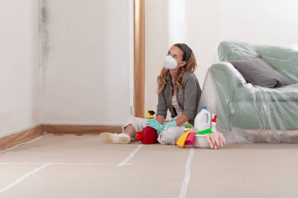 Reliable Commercial Mold Remediation contractor in Washington, IL by 24 Hour Mold Removal